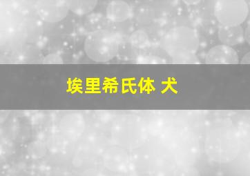 埃里希氏体 犬